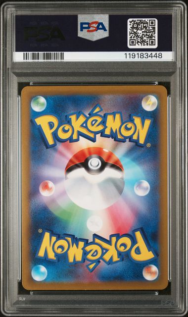 PSA 10 Charizard V 211/172