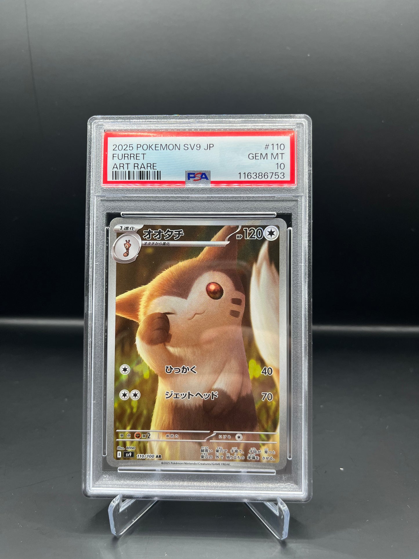 PSA 10 Furret 110/100