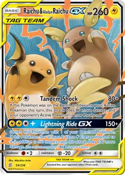 Raichu & Alolan Raichu GX 54/236